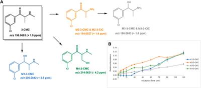 Metabolic stability and metabolite profiling of emerging synthetic cathinones
